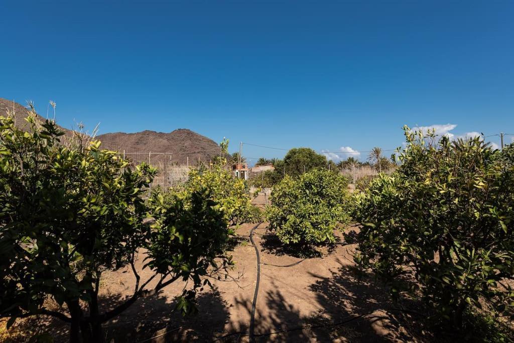 Vivienda Vacacional Ca' Pepita Y Jose El Albercon المظهر الخارجي الصورة