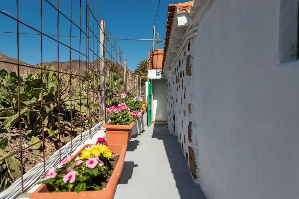 Vivienda Vacacional Ca' Pepita Y Jose El Albercon المظهر الخارجي الصورة