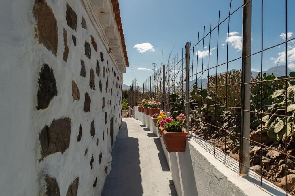 Vivienda Vacacional Ca' Pepita Y Jose El Albercon المظهر الخارجي الصورة