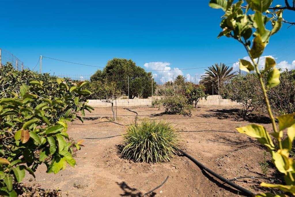 Vivienda Vacacional Ca' Pepita Y Jose El Albercon المظهر الخارجي الصورة